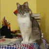 Отзыв от Анжелика Рубцова